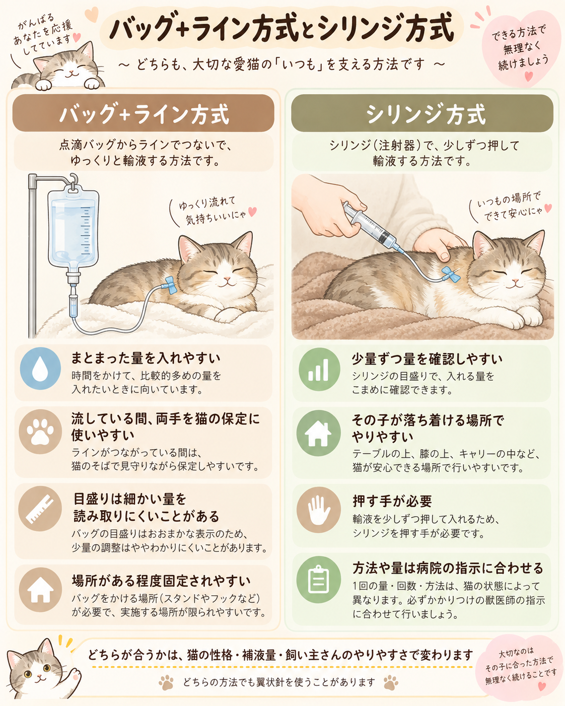 猫の自宅皮下補液のバッグ＋ライン方式とシリンジ＋翼状針方式の違い