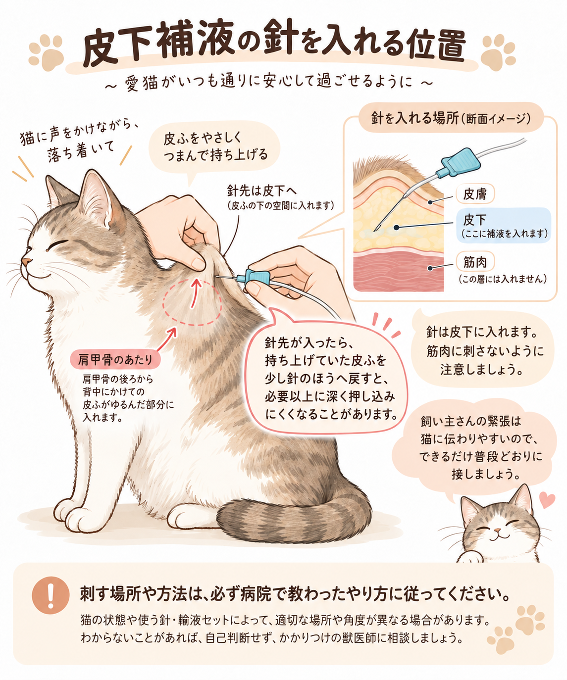 猫の皮下補液で皮膚をテント状に持ち上げ、針を皮下へ入れる方法